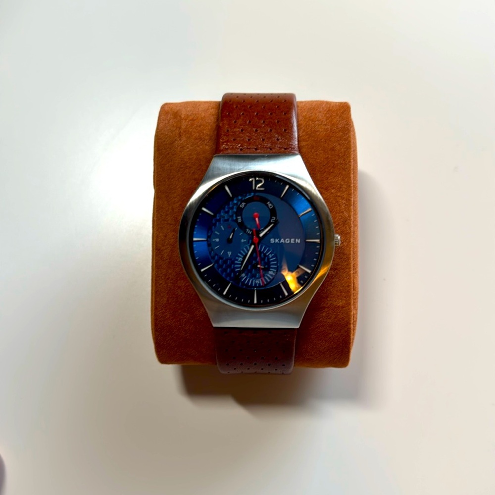 Skagen Grenen Men’s Leather Watch